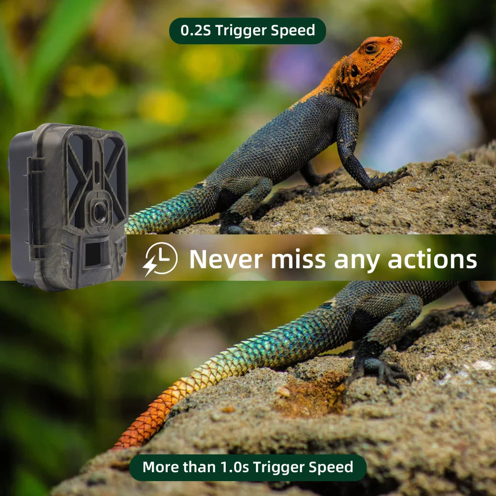 Outdoor 4K 10000mah Lithium Battery Waterproof Trail Camera HD 36MP Infrared Night Vision Motion Activated Trap Game Cam