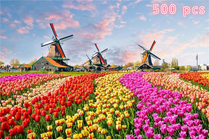 49833781297493