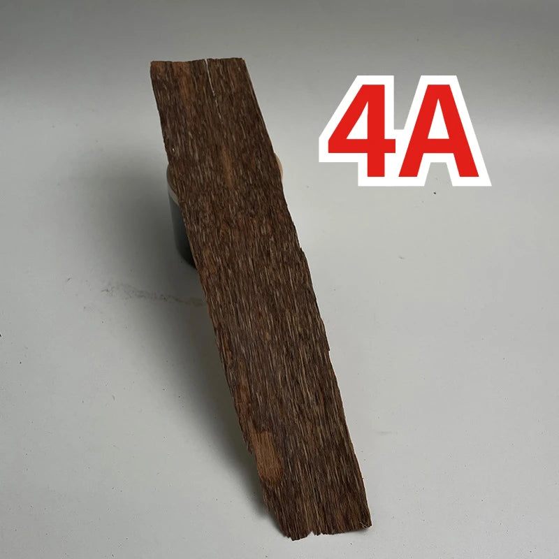 49808871162197