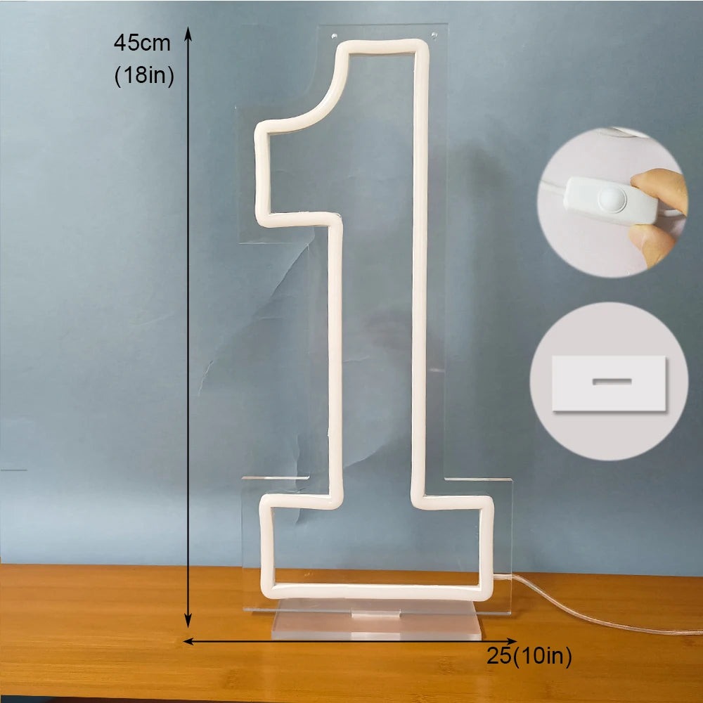 Large Light Up Neon Number 1 2 3 4 5 6 7 8 9 0 Signs for Birthday Home Personalized Party Sign USB Powered with Dimmer 25x45cm