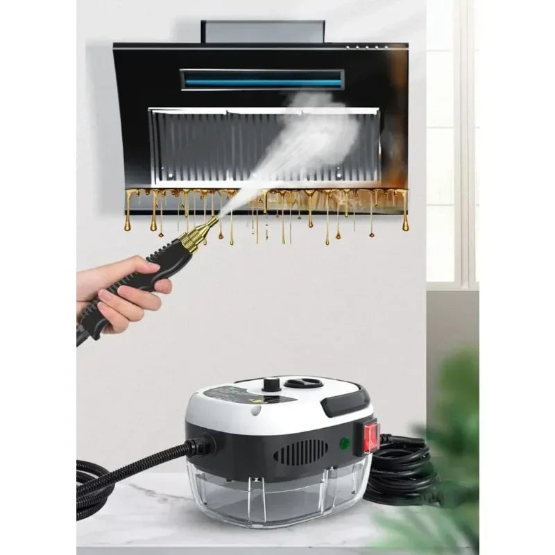 2500W 110V 220V High Pressure And Temperature Handhled Steam Cleaner For Air Conditioner Kitchen Hood Car Steaming Cleaner