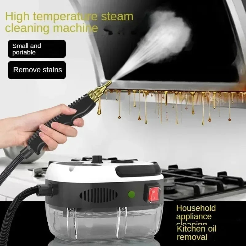 2500W 110V 220V High Pressure And Temperature Handhled Steam Cleaner For Air Conditioner Kitchen Hood Car Steaming Cleaner