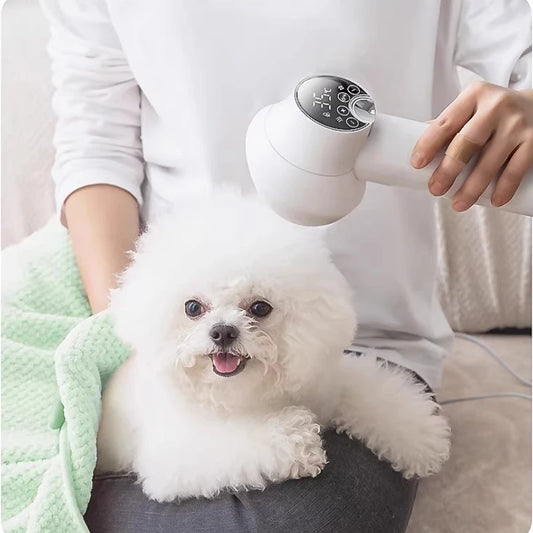 Small and Medium-sized Dog Hair Aspirator Multifunctional Cat Comb Efficient Adsorption Dogs Dryer Noise Reduction Grooming Tool