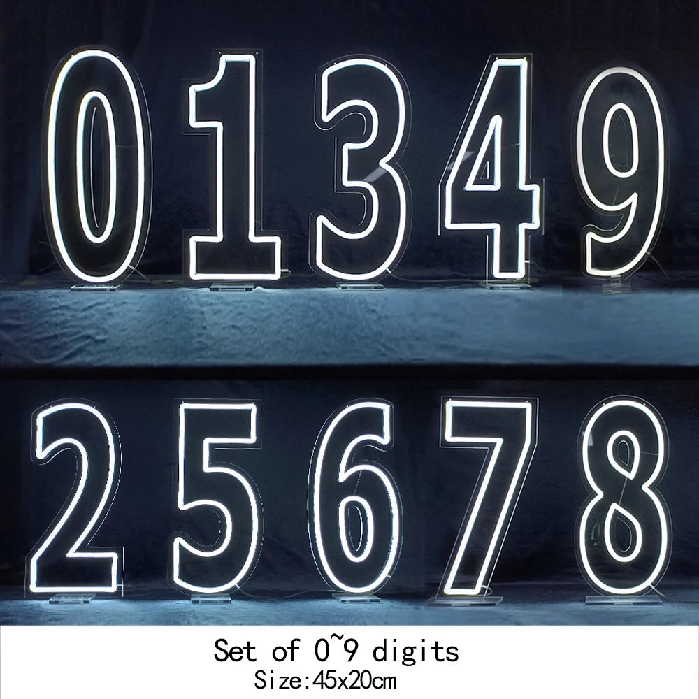 Large Light Up Neon Number 1 2 3 4 5 6 7 8 9 0 Signs for Birthday Home Personalized Party Sign USB Powered with Dimmer 25x45cm