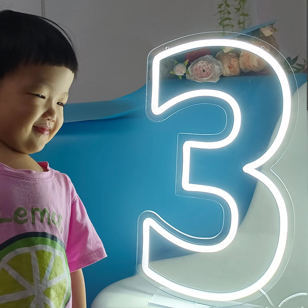 Large Light Up Neon Number 1 2 3 4 5 6 7 8 9 0 Signs for Birthday Home Personalized Party Sign USB Powered with Dimmer 25x45cm